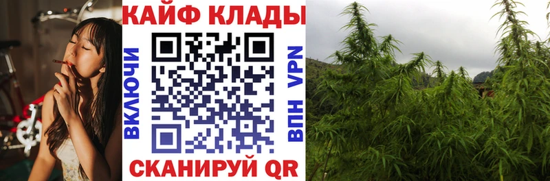 Где купить наркоту Алагир СОЛЬ  Меф мяу мяу  МЕТАМФЕТАМИН  Галлюциногенные грибы  Cocaine  Бошки Шишки  Гашиш 
